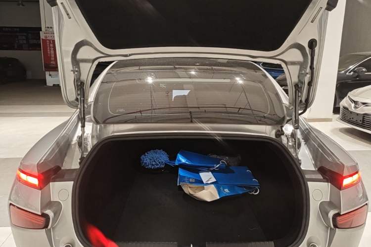 Used XPeng P7 2020 670N Trunk