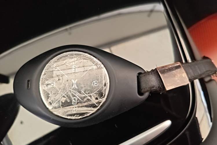 Used XPeng P7 2020 670E Vehicle Key