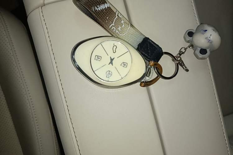 Used XPeng P7 2020 706G Vehicle Key
