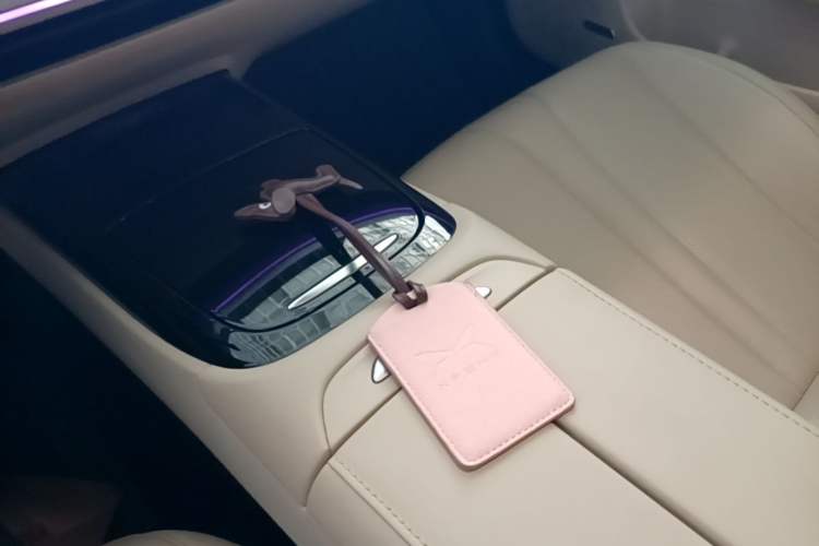 Used XPeng P7 2020 586N Vehicle Key