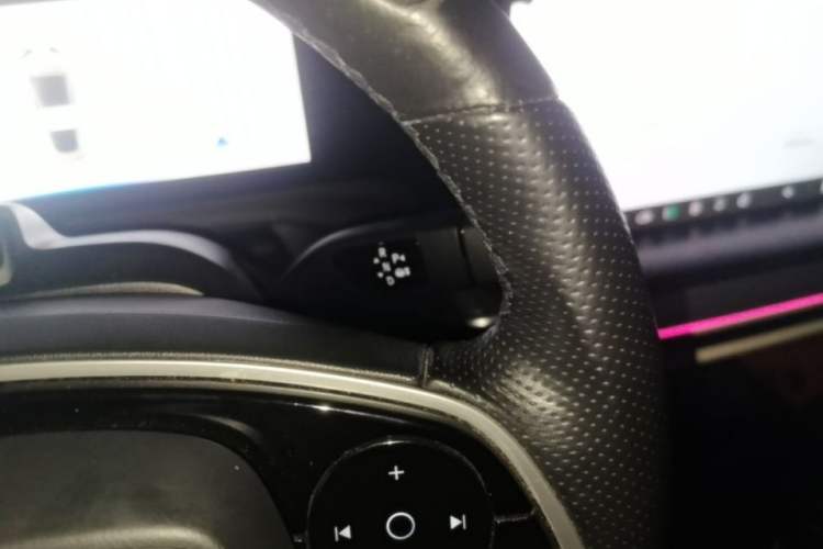 Used XPeng P7 2020 Rear-Drive Long-Range Smart Drive Version Gear Lever