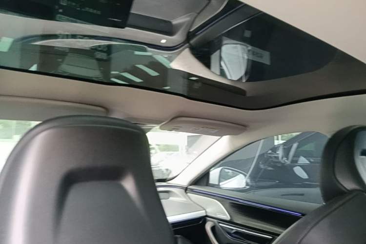 Used XPeng P7 2020 670N Headliner