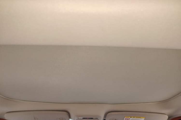 Used XPeng P7 2020 670N Headliner