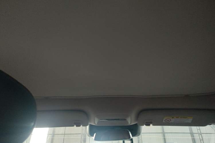 Used XPeng P7 2020 670E Headliner