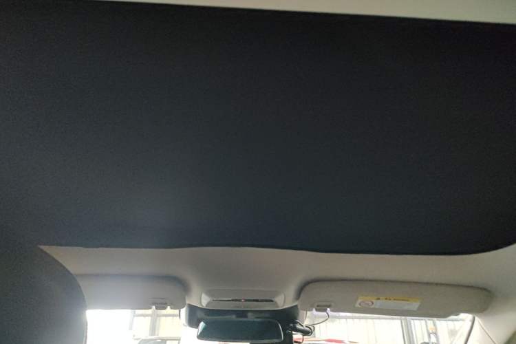 Used XPeng P7 2020 670E Headliner