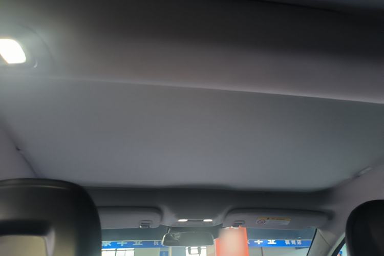 Used XPeng P7 2020 670N Headliner