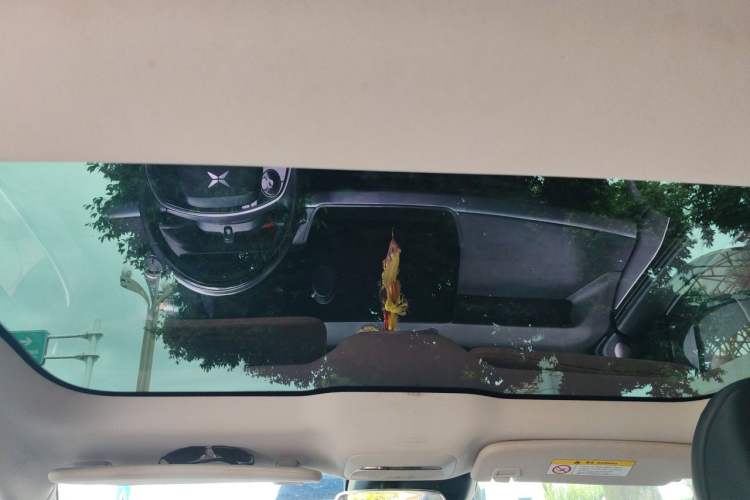 Used XPeng P7 2020 586N Headliner