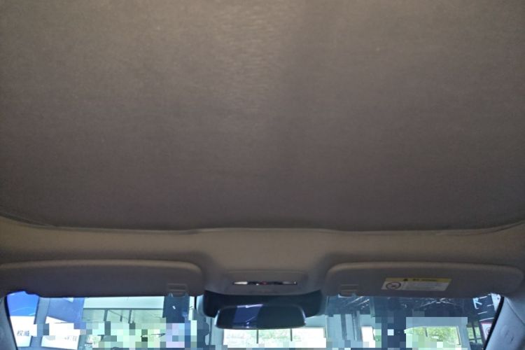 Used XPeng P7 2020 670E Headliner