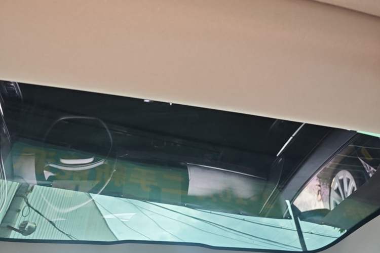 Used XPeng P7 2020 562N Performance Edition Headliner