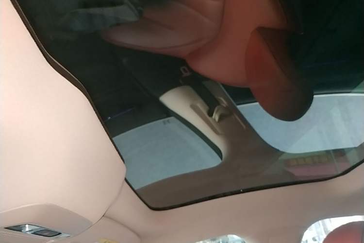 Used XPeng P7 2020 670E Headliner