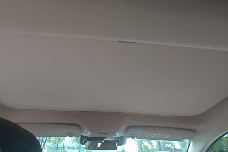 Used XPeng P7 2020 670E Headliner