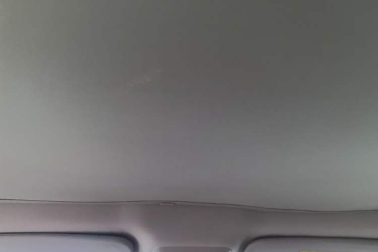 Used XPeng P7 2020 670E Headliner
