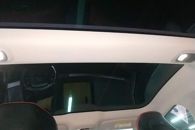 Used XPeng P7 2020 586E Headliner