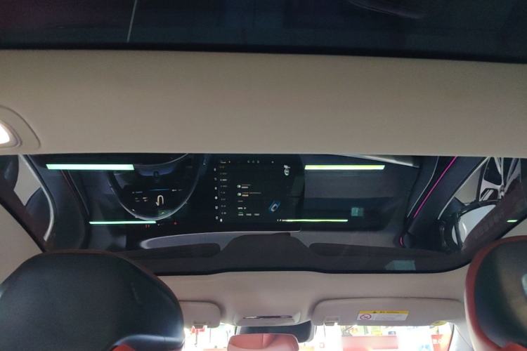 Used XPeng P7 2020 670N Headliner