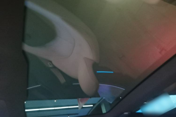 Used XPeng P7 2020 670N Headliner