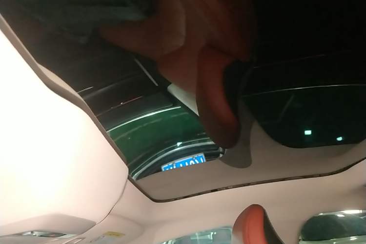 Used XPeng P7 2020 670N Headliner
