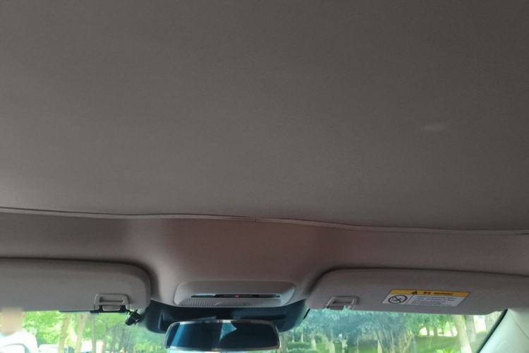 Used XPeng P7 2020 670E Headliner