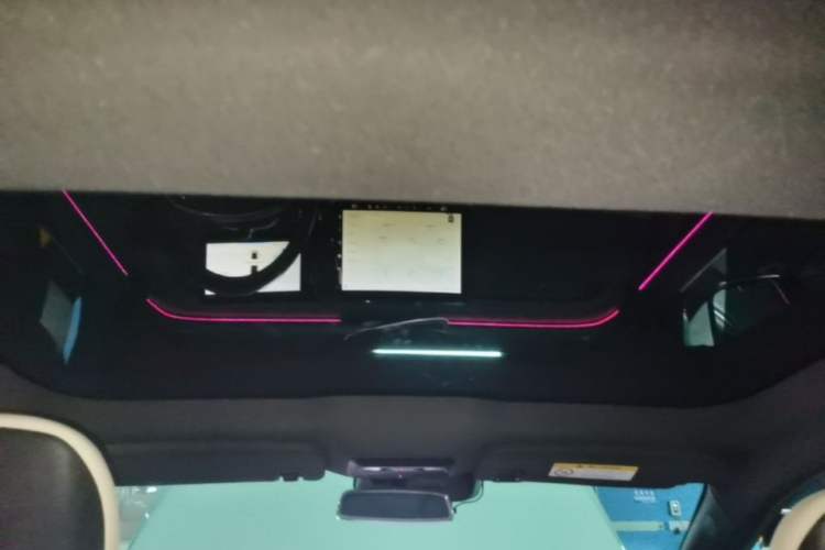 Used XPeng P7 2020 Rear-Drive Long-Range Smart Drive Version Headliner
