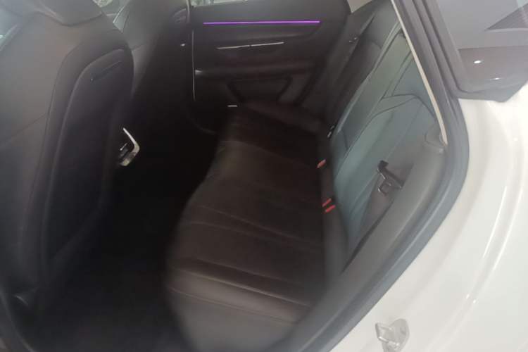 Used XPeng P7 2020 670E Left Rear Seat