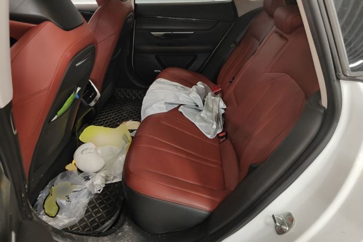 Used XPeng P7 2020 670N Left Rear Seat