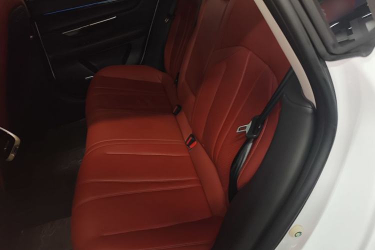 Used XPeng P7 2020 586N Left Rear Seat