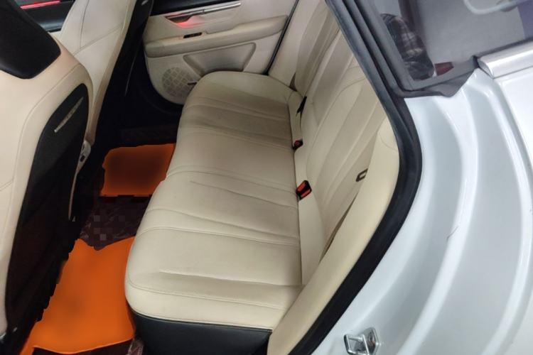 Used XPeng P7 2020 Rear-Drive Long-Range Smart Drive Version Left Rear Seat