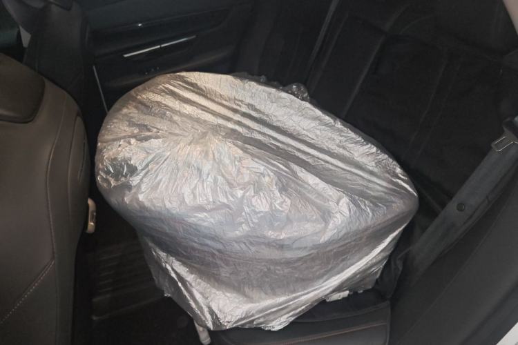 Used XPeng P7 2020 586N Left Rear Seat