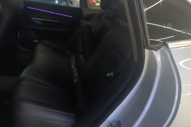 Used XPeng P7 2020 670N Left Rear Seat