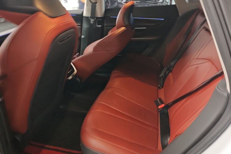 Used XPeng P7 2020 670E Left Rear Seat