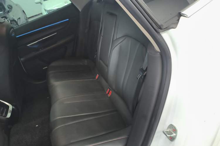 Used XPeng P7 2020 670E Left Rear Seat