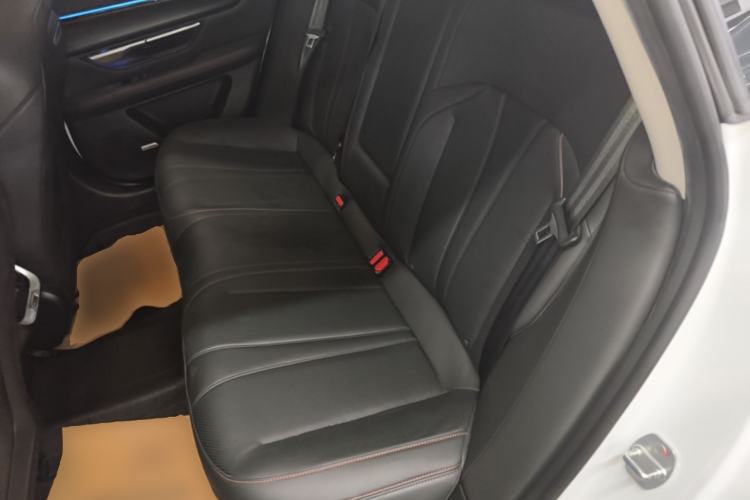Used XPeng P7 2020 670N Left Rear Seat