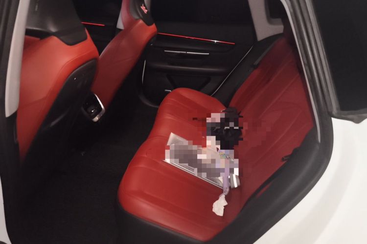 Used XPeng P7 2020 586N Left Rear Seat