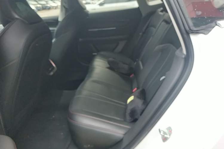 Used XPeng P7 2020 670E Left Rear Seat