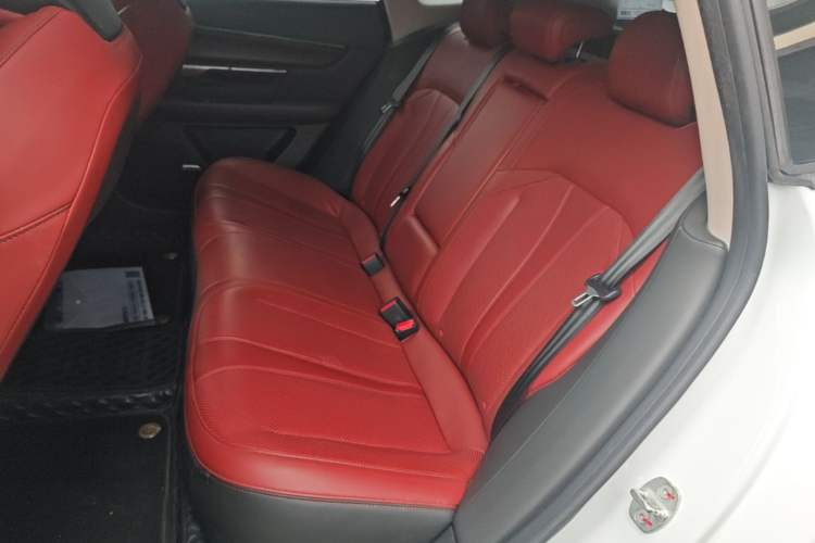Used XPeng P7 2020 670E Left Rear Seat