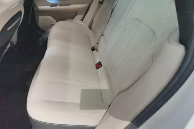 Used XPeng P7 2020 670N Left Rear Seat