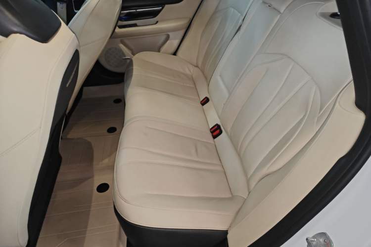 Used XPeng P7 2020 670E Left Rear Seat
