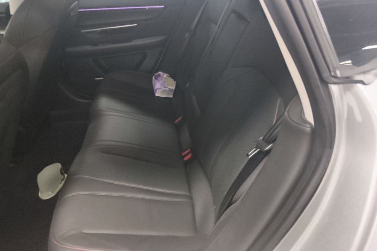 Used XPeng P7 2020 670N Left Rear Seat
