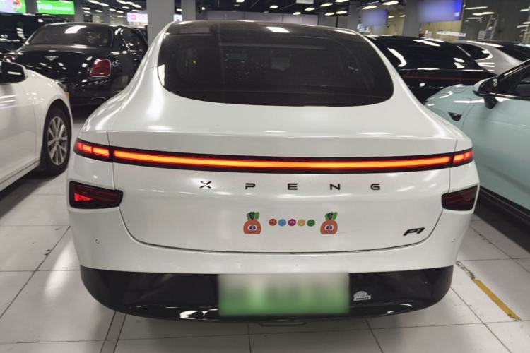 Used XPeng P7 2020 670N Rear
