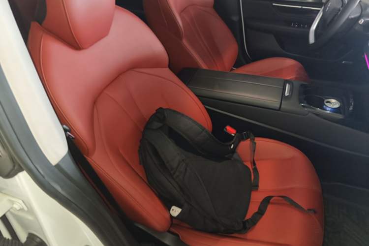 Used XPeng P7 2020 670E Right Front Seat