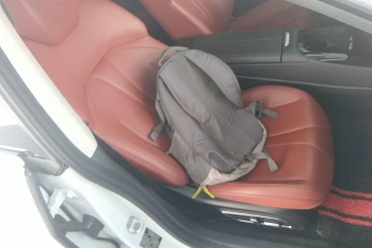 Used XPeng P7 2020 670E Right Front Seat