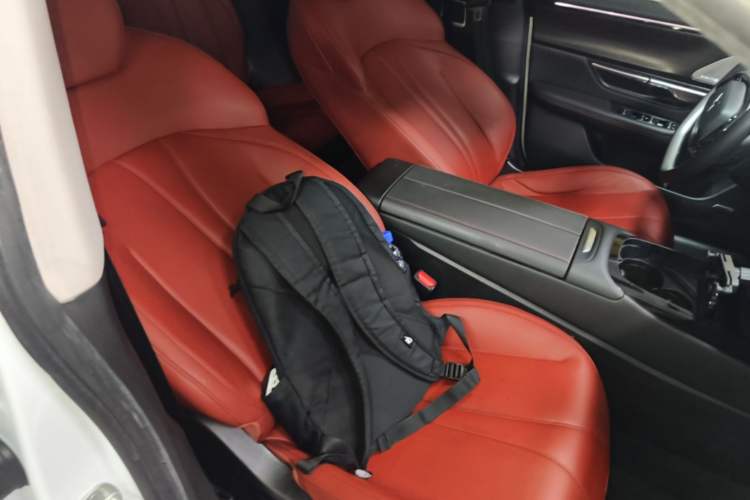 Used XPeng P7 2020 670E Right Front Seat