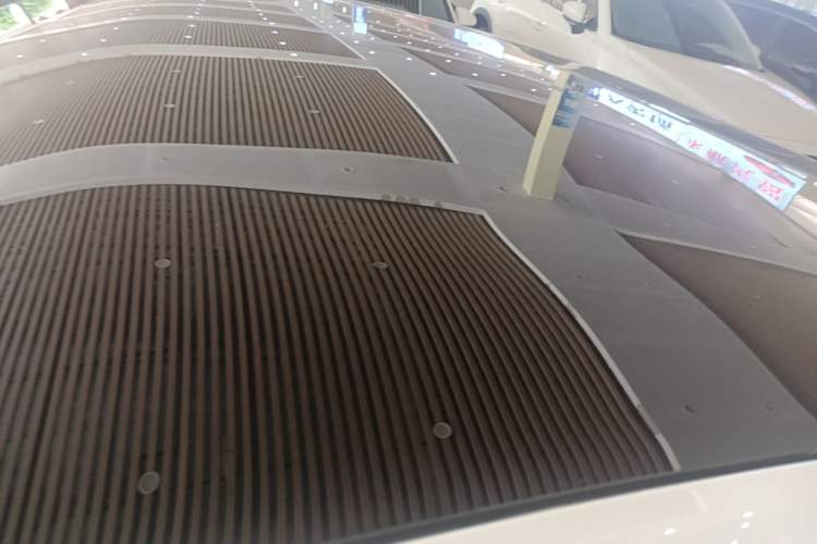 Used XPeng P7 2020 670E Roof
