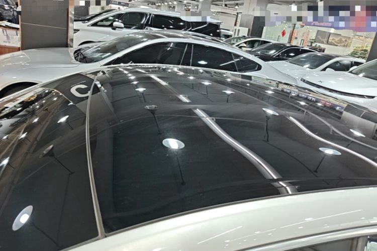 Used XPeng P7 2020 670N Roof