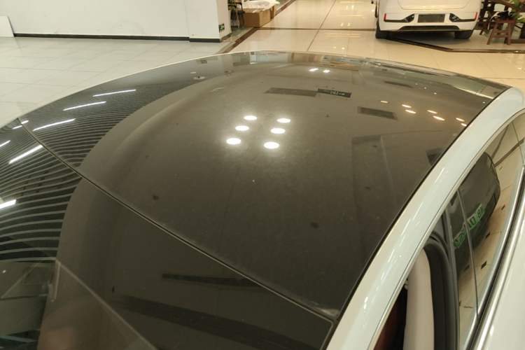 Used XPeng P7 2020 670N Roof
