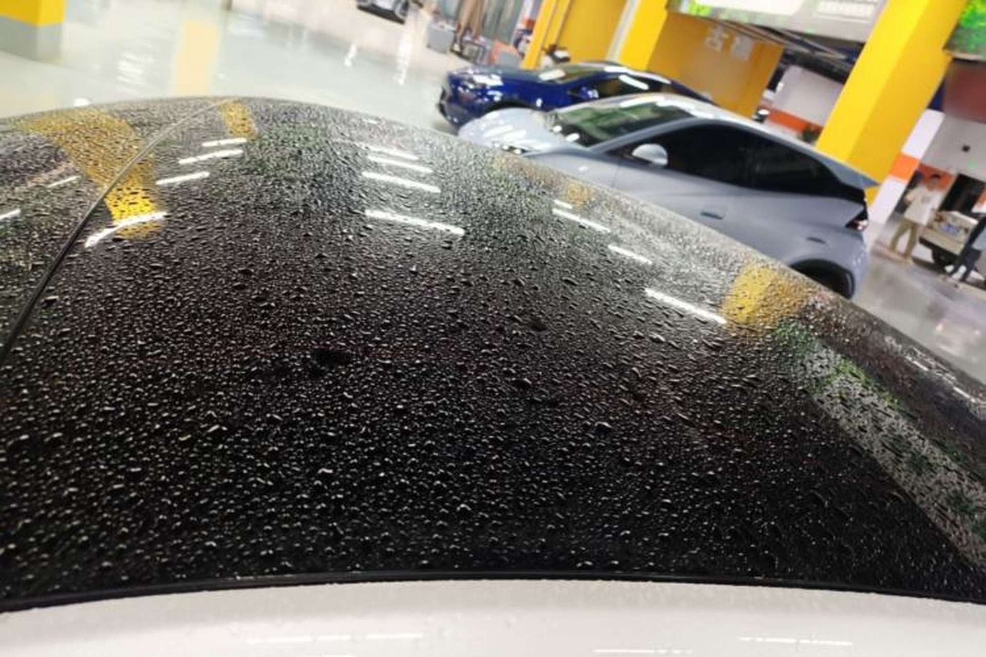Used XPeng P7 2020 670N Roof