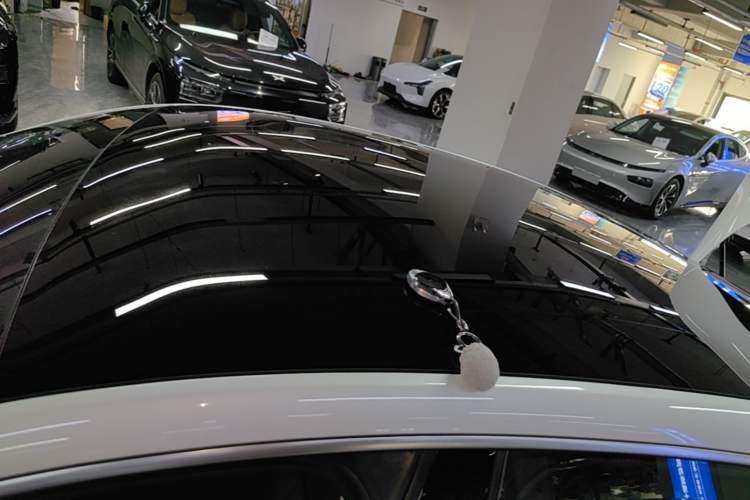 Used XPeng P7 2020 586N Roof
