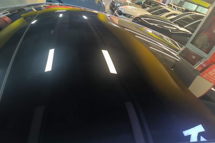 Used XPeng P7 2020 670N Roof