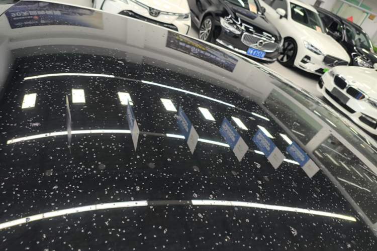 Used XPeng P7 2020 670E Roof