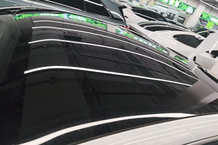 Used XPeng P7 2020 670N Roof