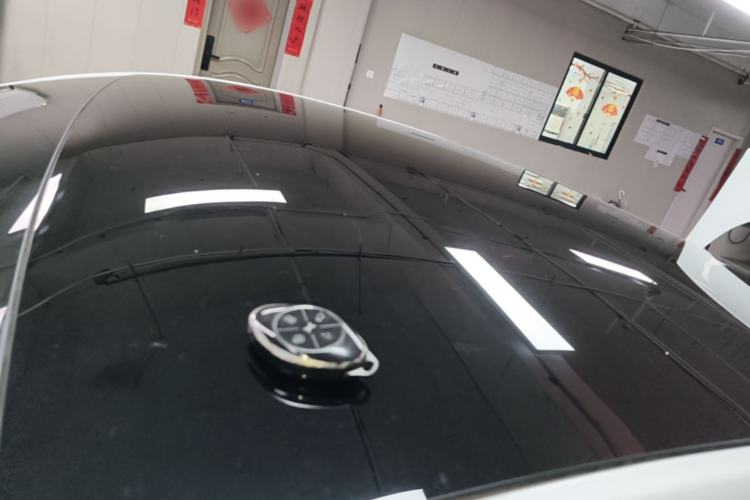 Used XPeng P7 2020 670E Roof